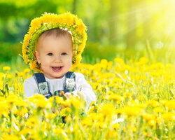 1443328441